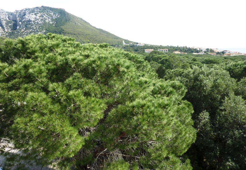 La Bouganville Apartments Cala Gonone Zewnętrze zdjęcie