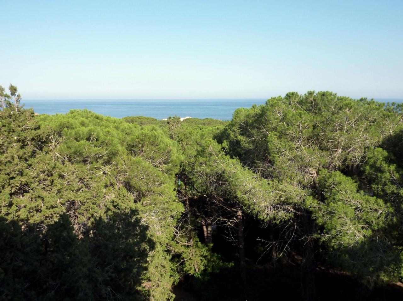 La Bouganville Apartments Cala Gonone Zewnętrze zdjęcie